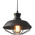 Lighting Pendant 1 Bulbs Metal Black 12352-013