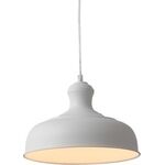 Lighting Pendant 1 Bulb Metal 13802-050