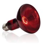 Infrared Heat Bulb R125 250W Red