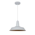 Lighting Pendant 1 Bulb Metal 13802-280
