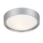 Ceiling Lighting Fixture Acrylic White - Silver Paint 13803-466