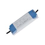 Power Supply for Led Panel 24W 300mA 50-84VDC
