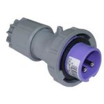Male Industrial Plug 2x16A 24V 0622v PCE IP67