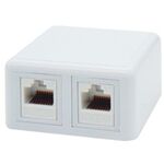 Wall - Mount Network Outlet 2P With 2pcs CAT6 Keystone Jack Sut
