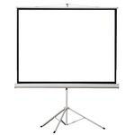 Projector Screen 2.4x1.8m Foldable with Tripods