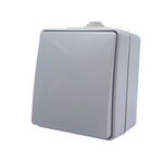 Outdoor Switch 1 Button 1 Way with Screw 1P 10AX 250VAC IP55 Gray