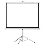 Projector Screen 1.75x1.75m Foldable with Tripods