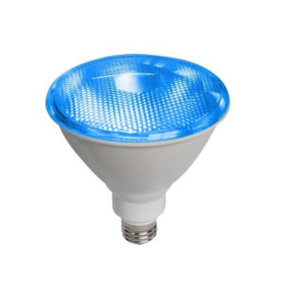 Led Lamp PAR38 E27 15W IP65 Blue