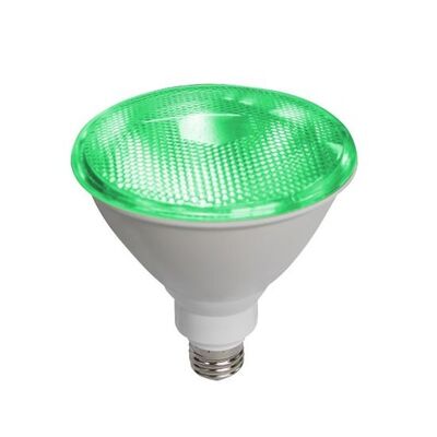 Led Lamp PAR38 E27 15W IP65 Green