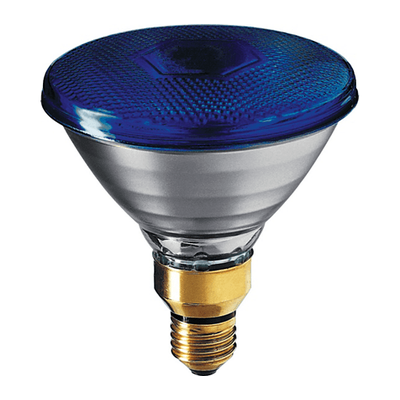 Economy Lamp Magicolor PAR38 E27 20W Blue