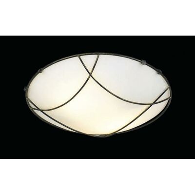 Ceiling Lighting Fixture Metal 13803-518