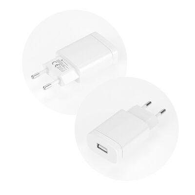 Travel Charger Fast Charge 2.4A USB Type-C Quick Charge 3.0