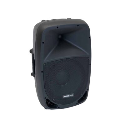 Master Audio SQ300 Speaker