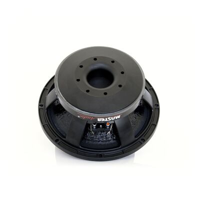 Woofer 12" 30cm 500W RMS LSN12/8 Master Audio