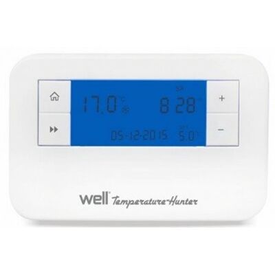 Thermostat + Display