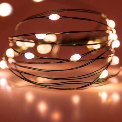 Decorative Green Wire with 100LED Bronze 10m + Controller