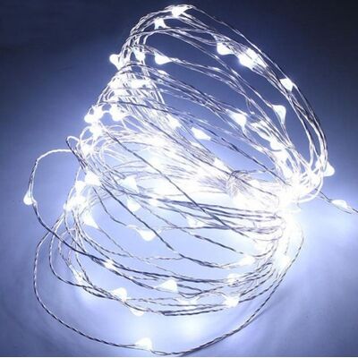 Decorative Silver Wire with 100LED Cool White 10m + Controller