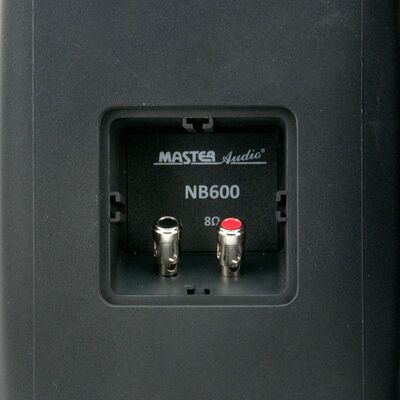 Ηχεία Master Audio NB600B Black Pair (Ζεύγος) Αδιάβροχο
