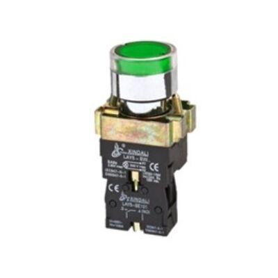 Flush Button Φ22 1NO With Green Light BW3361 KND