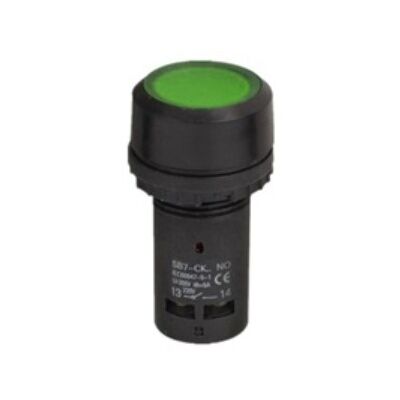 Flush Button Φ22 1NO With Green Led Monoblock SB7-CW3361 XND
