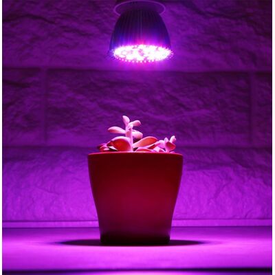 Plant Development Led Lamp E27 28W