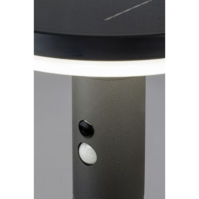 Led Solar Garden Lamp 250 Lumen IP54 Grey with Sensor