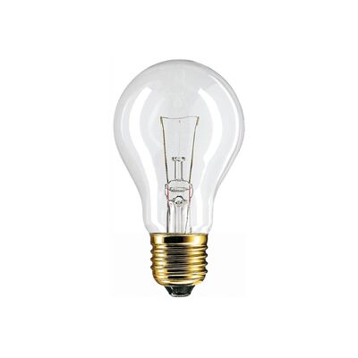 Incandescent Bulb E27 100W