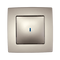 Switch 1 Button 1 Way Switch With Light City Champagne Metallic