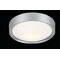 Ceiling Lighting Fixture Acrylic White - Silver Paint 13803-464