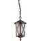 Hanging Luminaire Lantern Aluminum Antique Brass Outdoor 96103P/AB