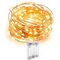 30 LED Wire Copper / Warm 3m Battery 3xAA