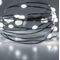 Decorative Green Wire with 100LED Cool White 10m + Controller