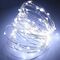 Decorative Silver Wire with 100LED Cool White 10m + Controller
