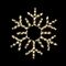 Snowflake Led Rope Light 144 LED Warm White
