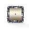 Διακόπτης Αλερετούρ & LED Λυχνία Ελέγχου (ΟΝ-ΟΝ) με Κλιπ 1P 10AX 250VAC IP20 Mατ Σαμπανιζέ Prime